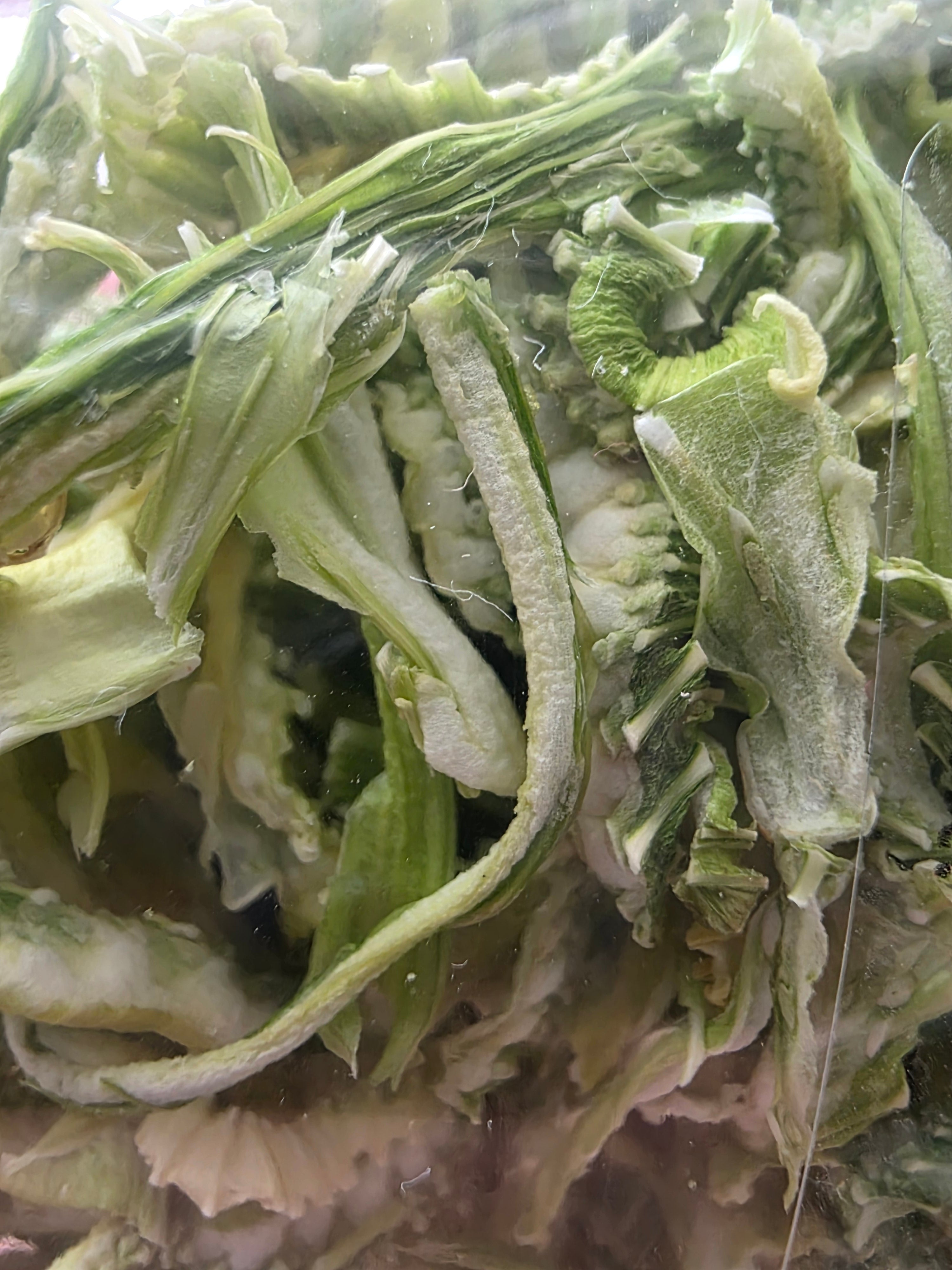Celery Flakes